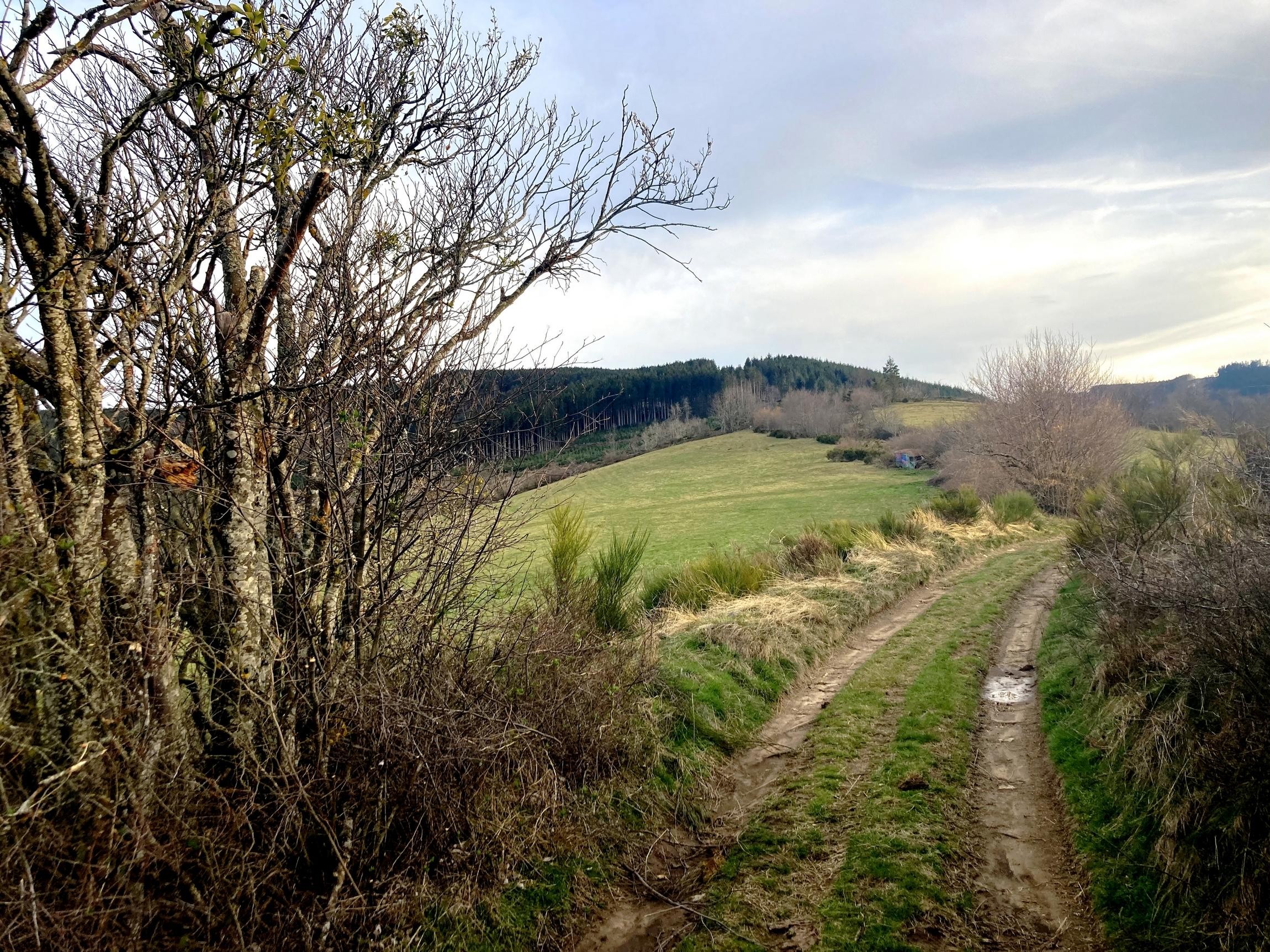 Les Plats (point haut dans le virage)