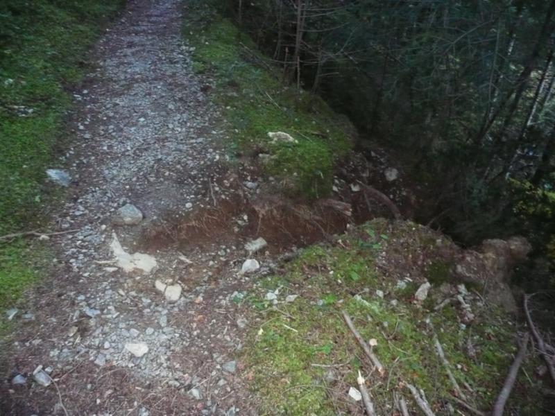 les stigmates de l'exploitation forestière