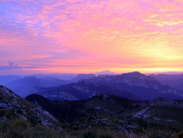 LSU_20170824_06453324