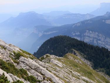 LSU_20170824_08244100