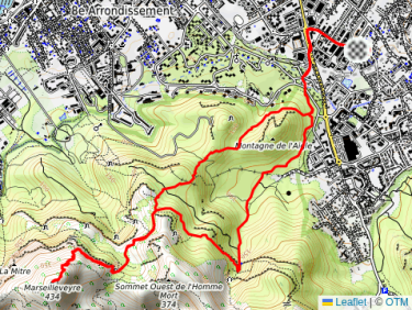 Lunch Trail Run