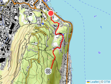 Lunch Trail Run