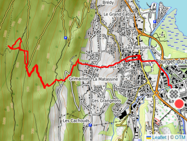 Lunch Trail Run