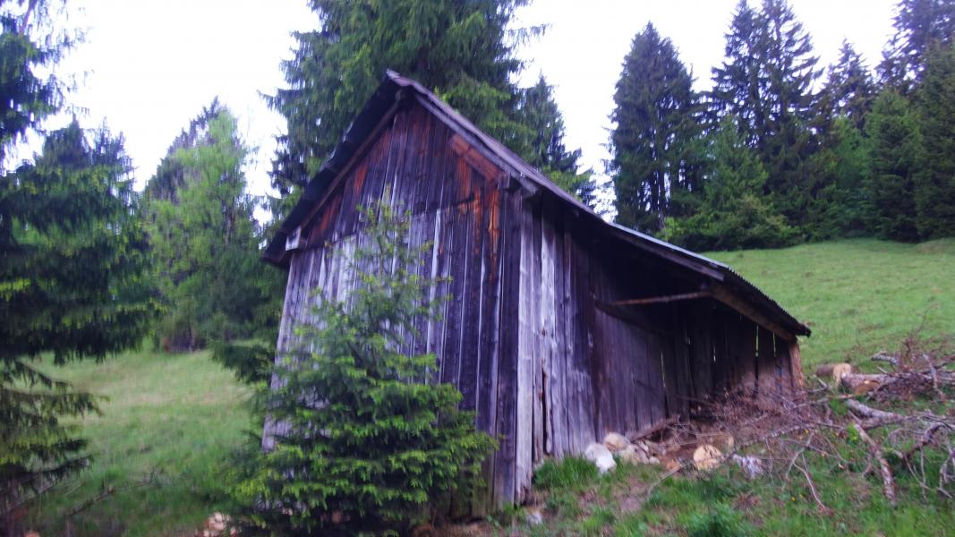 Ma cabane au fond des Bois