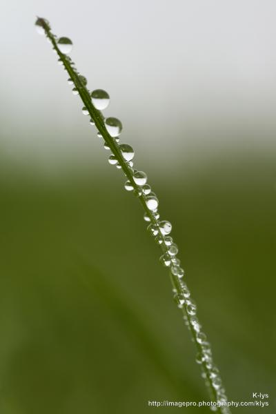 Macro
