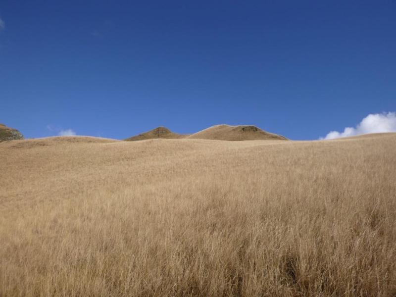 Magique cette prairie suspendue au dessus des barr