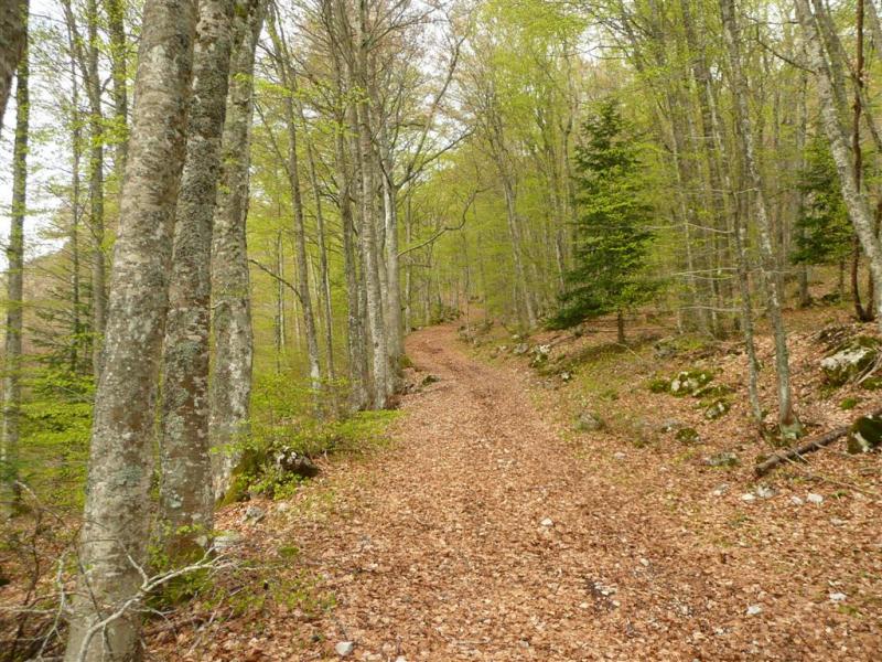 Magnifique sentier par moments