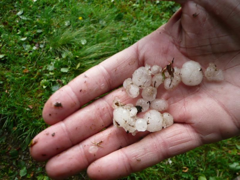 Malgré la chaleur il reste plein de grelons d'hier