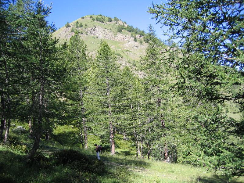Mélèzen
