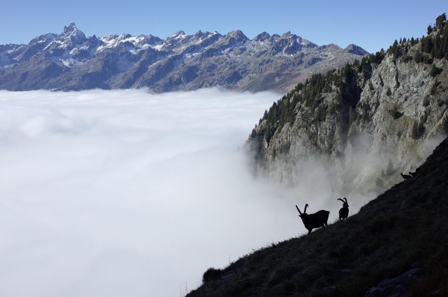 Mer de nuages