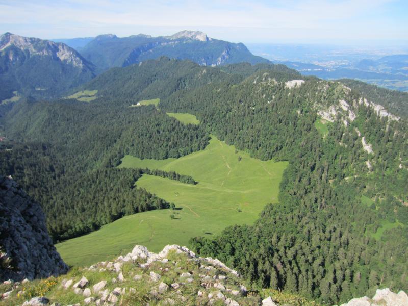 Mes prairies préférées