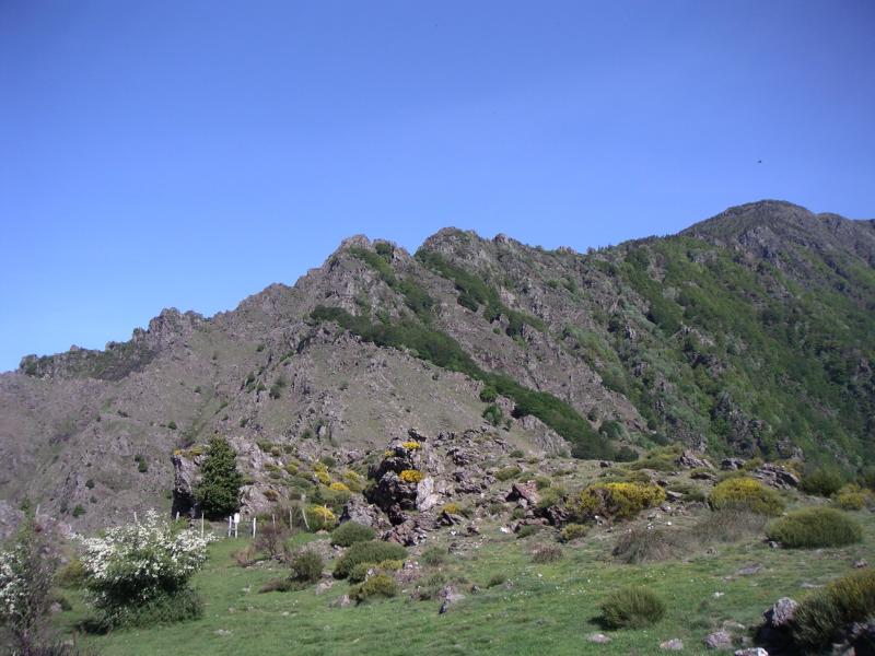 Mont Aigoual