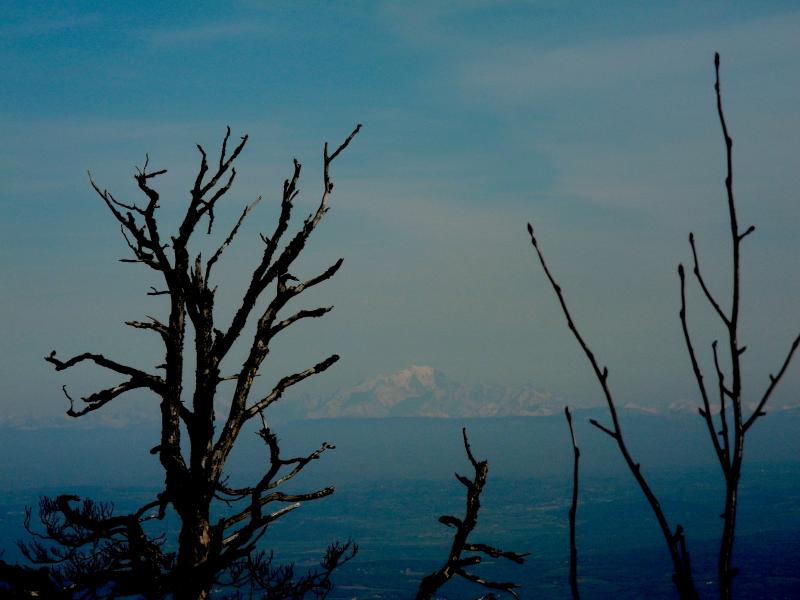 Mont Blanc