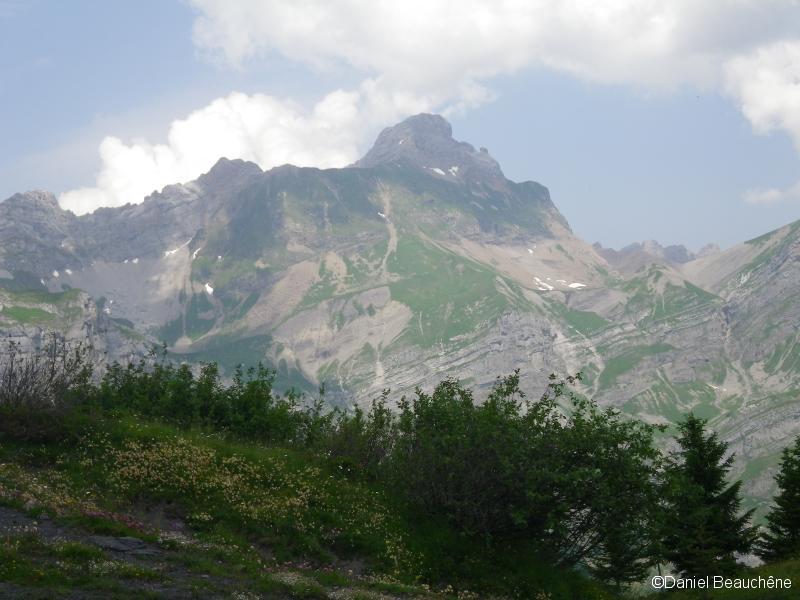 Mont Blanc vu des Bénés