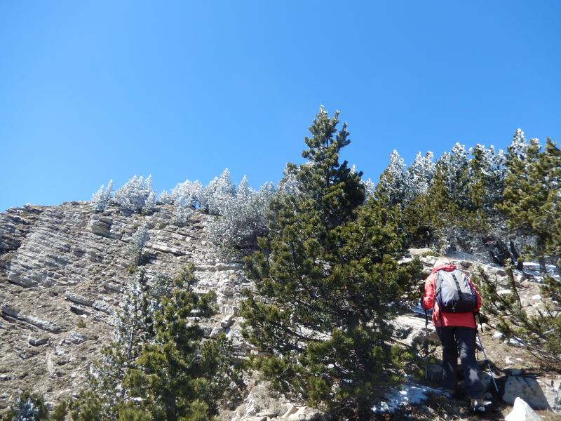 Montagne Durbonas
