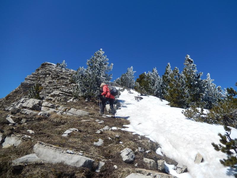 Montagne Durbonas