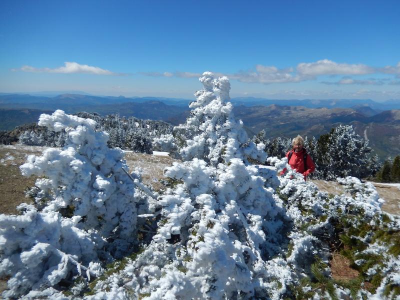 Montagne Durbonas