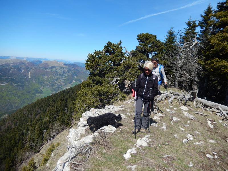 Montagne Durbonas
