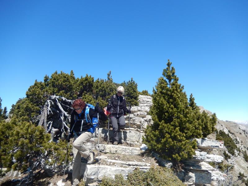 Montagne Durbonas