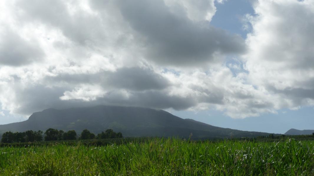 Montagne Pelée