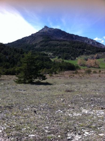 Montagne d'Aujour