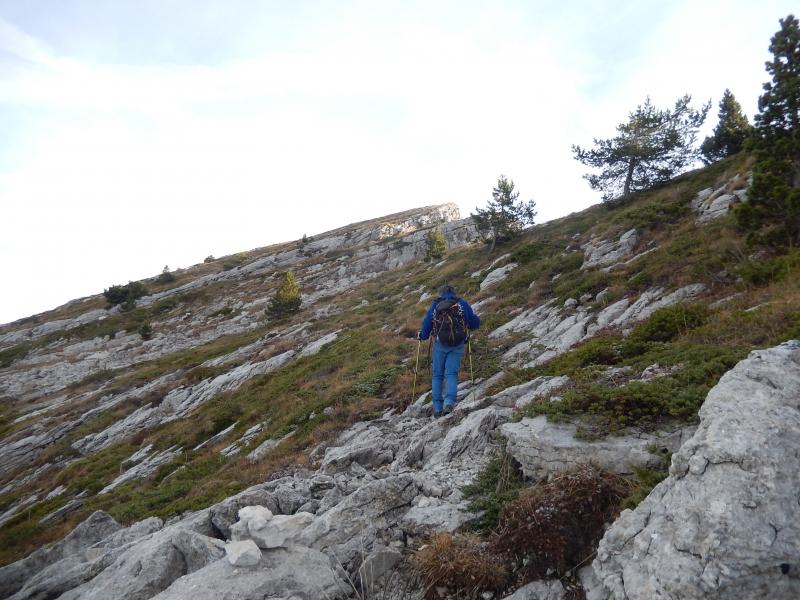 Montagne d'Aujour