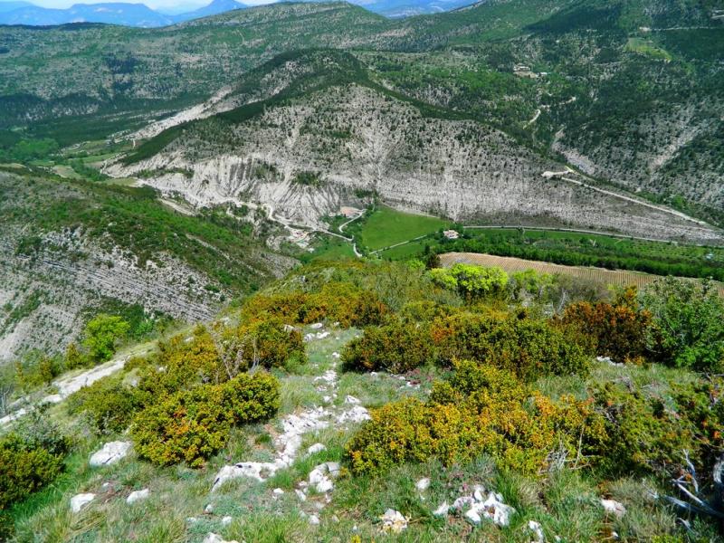 Montagne de Banne