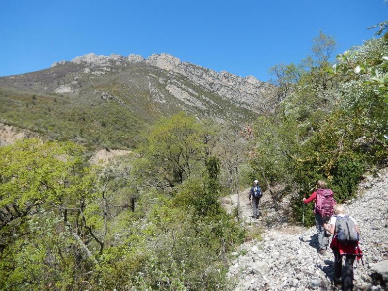 Montagne de Beyne