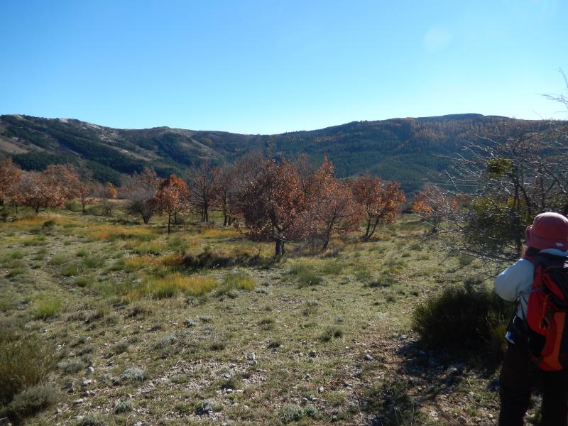 Montagne de Gache