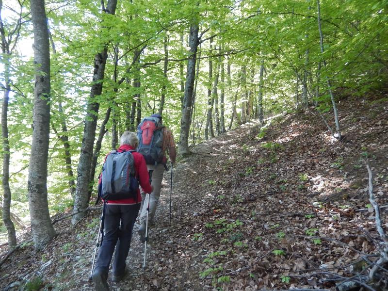 Montagne de Lure