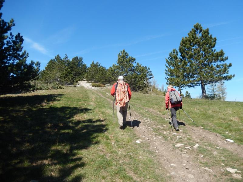 Montagne de Lure