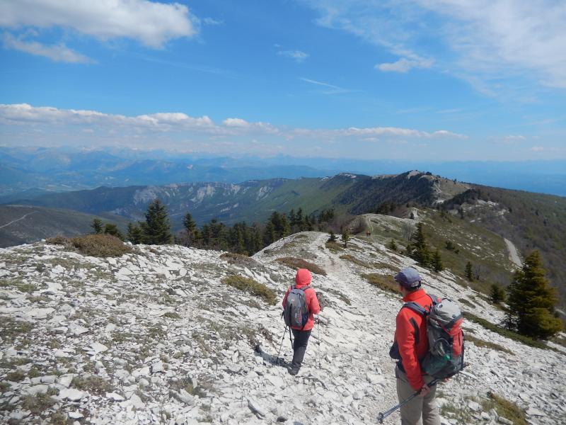 Montagne de Lure