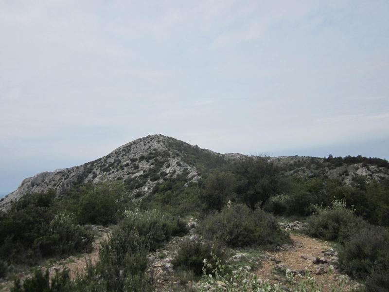 Montée