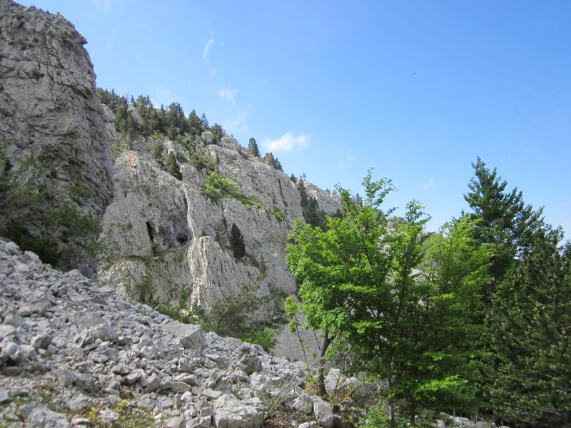 Montée