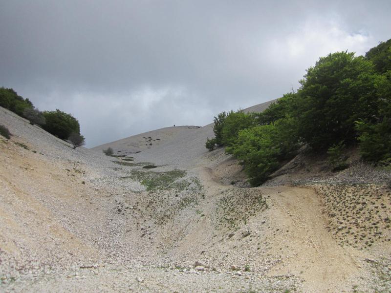 Montée
