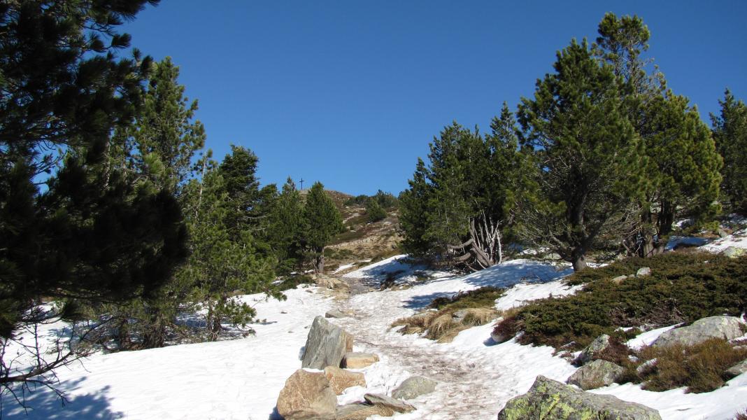 Montée à la croix du Mezenc