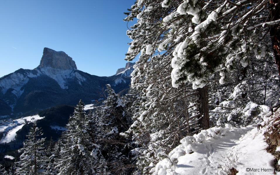 Montée au Brisou depuis le col de l'Allimas