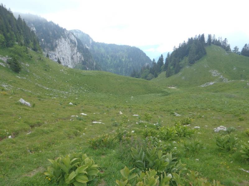 Montée par le Pré Batard