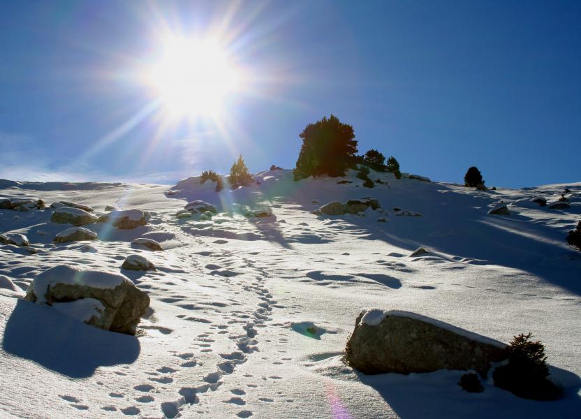 Montée vers la dent (alt 1900)