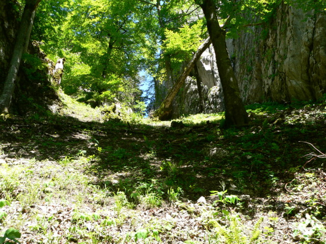 Montée vers le col de la Cochette