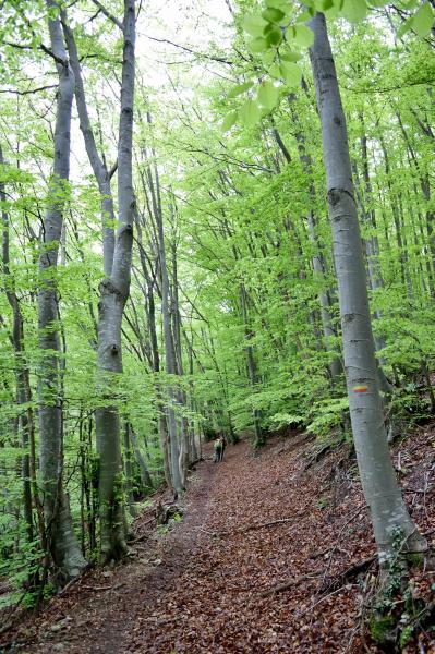 Montée vers le col du Pertuis