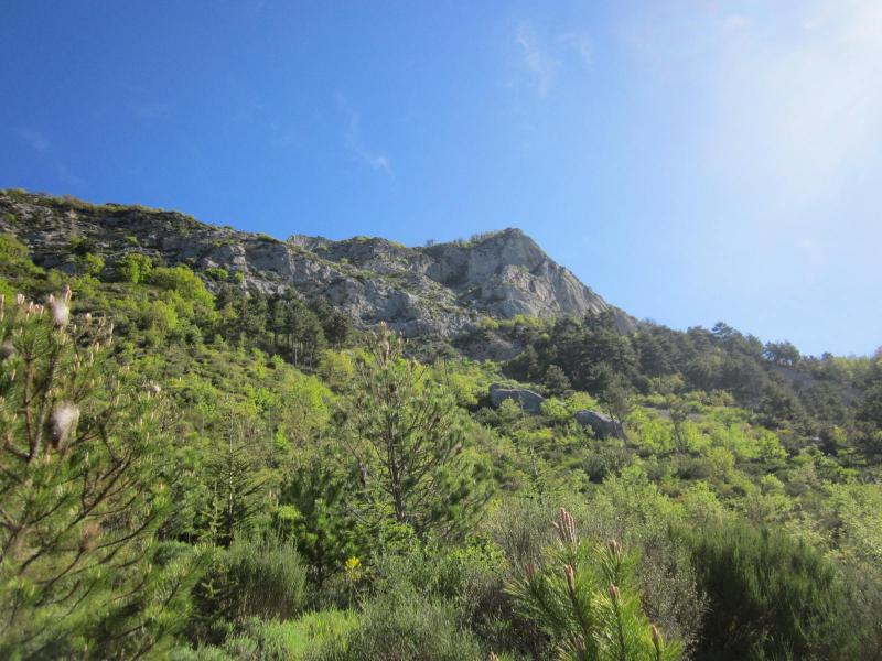 Montée