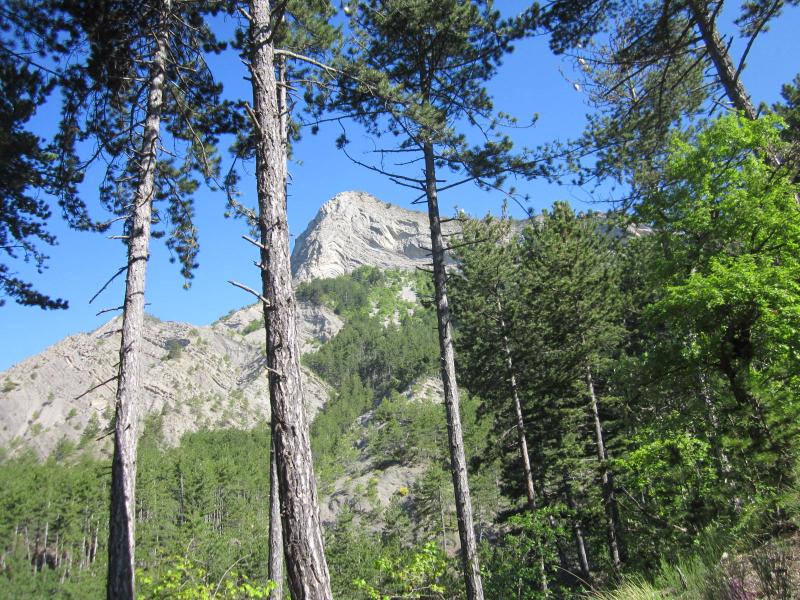 Montée
