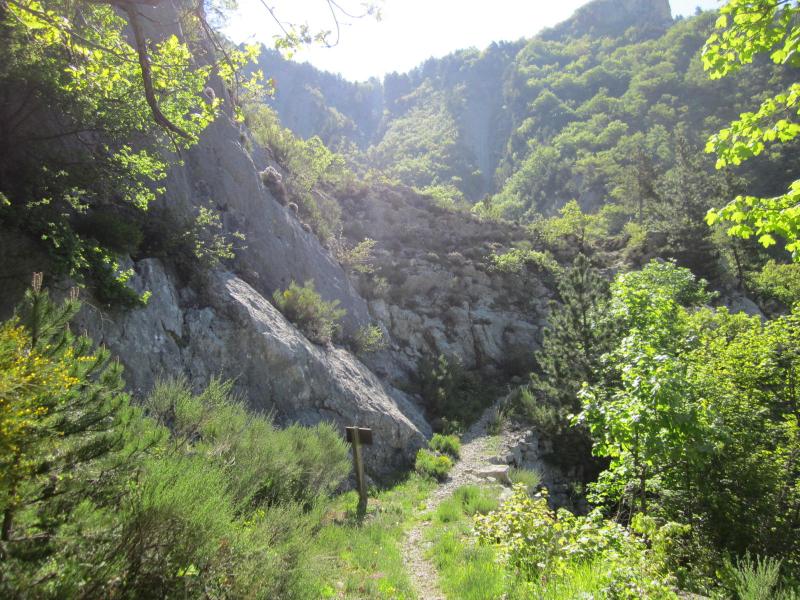 Montée