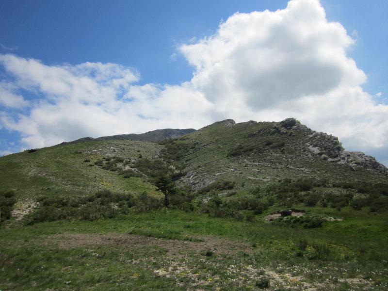 Montée