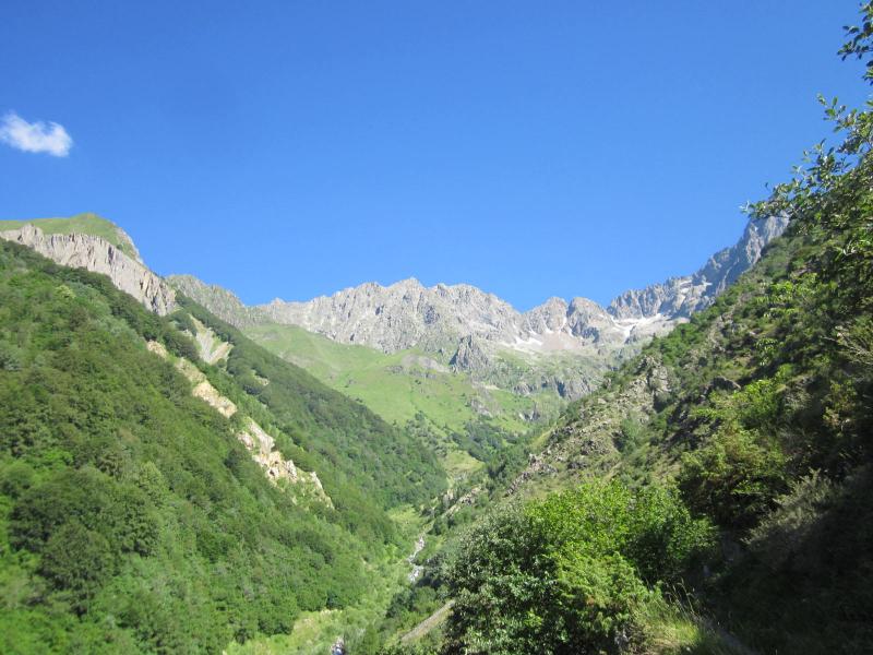 Montée