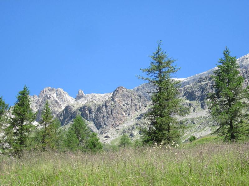Montée