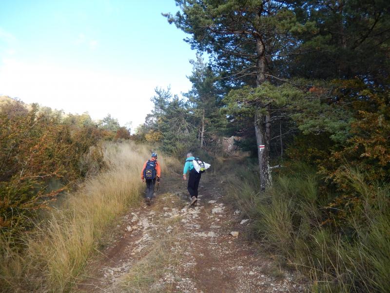 Montée au Suillet
