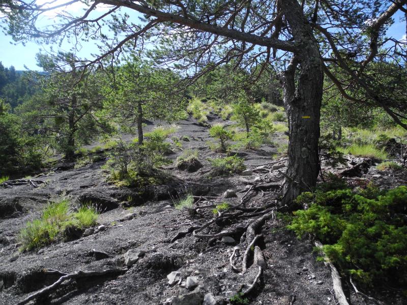 Montée dans les robines
