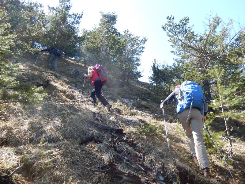 Montée à Testoune
